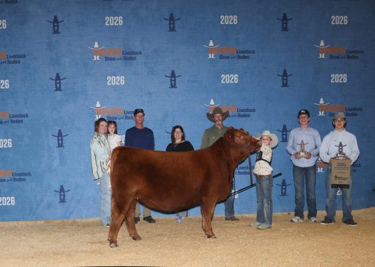 Class Winner and Reserve Junior Division heifer at the 2026 Houston Livestock Show and Rodeo.