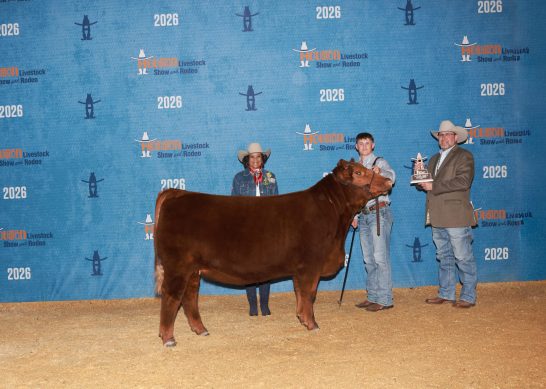 Class winner in the scramble show at the 2026 Houston Livestock Show and Rodeo.