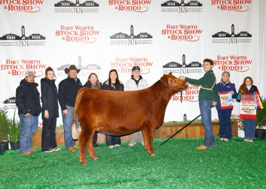 Reserve Intermediate Champion at the 2026 Fort Worth Stock Show and Rodeo Junior Show.